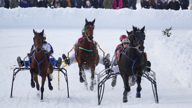 米兰跟队：米兰双雄探讨出售圣西罗冠名权，每年2000-3000万欧
